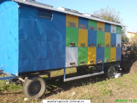 vand pavilion apicol capacitate 42 stupi  relatii la se vinde cu 15 cutii 12 rame cuib 1/1 si cat