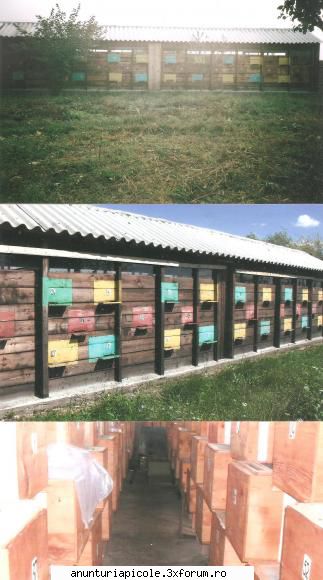 Vand pavilion apicol / teren adiacent - V�nd / Arendez - Teren agricol 6 - VANZARI ECHIPAMENTE APICOLE