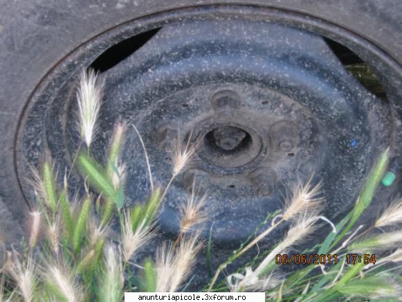Vand remorca REMA fara sistem de franare - Geanta pe 14" cu 5 prezoane, ceea ce - VANZARI - CUMPARARI AUTO