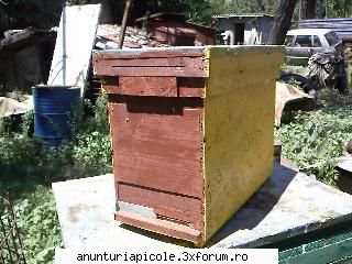 Vand roinita 6R 1/1 - Roinita de 6R 1/1 vopsite si cu tabla galvan - VANZARI ECHIPAMENTE APICOLE