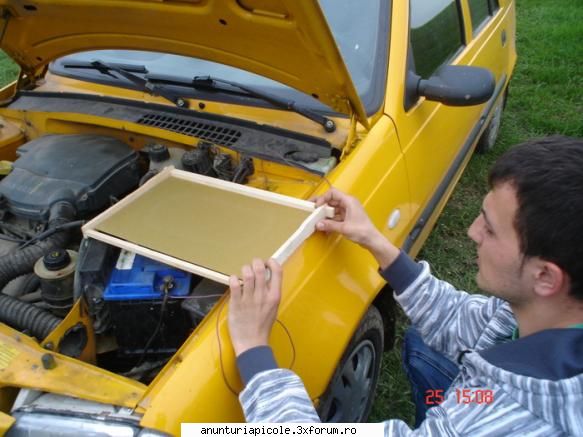 Vand si distribui faguri APISROM in Arges, zona Olteniei si Munteniei - freecristian - VANZARI ECHIPAMENTE APICOLE