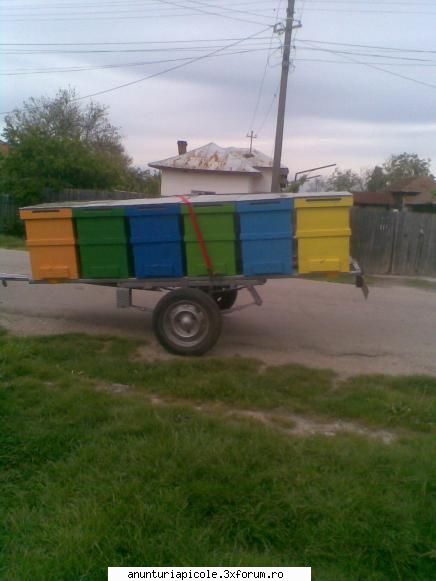Vand stupi noi - OZ - VANZARI ECHIPAMENTE APICOLE