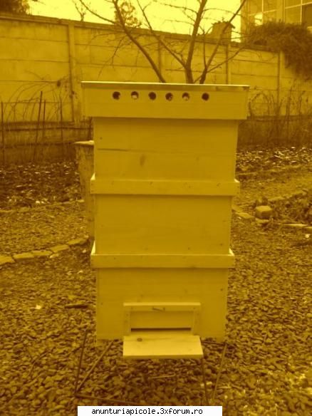 Vand stupi noi - stup multietajat - VANZARI ECHIPAMENTE APICOLE