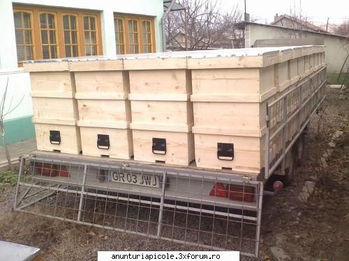 Vand stupi noi - stupi platforma apicola - VANZARI ECHIPAMENTE APICOLE