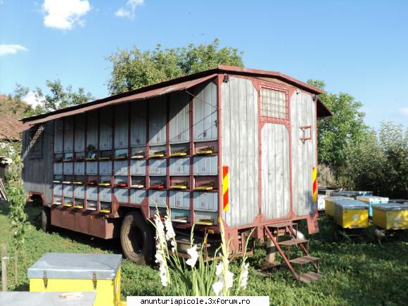 Vand urgent pavilion apicol - Vand urgent pavilion apicol. Tel - VANZARI ECHIPAMENTE APICOLE