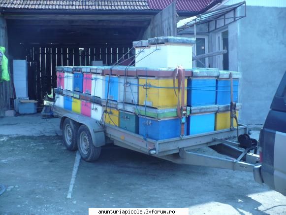 vand platforma auto brenderup an fabr 2007, sarcina utila 2000 kg, proprie 500 kg, verif tehnica