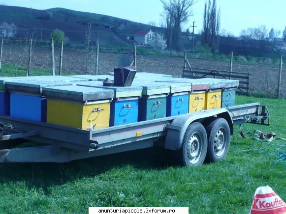 alta vanzare platforma transport stupi