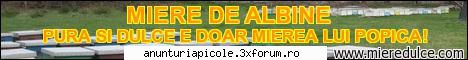 Vind miere de albine - Vind miere de albine en-gros ADJUD - VRANCEA - VANZARI PRODUSE APICOLE
