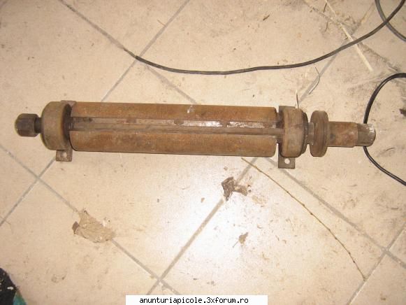 abric - am un arbore de abrik daca va intereseaza 40 CM - CUMPARARI ECHIPAMENTE APICOLE