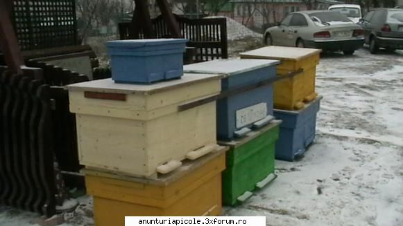 atelier tamplarie - axecut stupi la comanda la preturi de productie - VANZARI ECHIPAMENTE APICOLE
