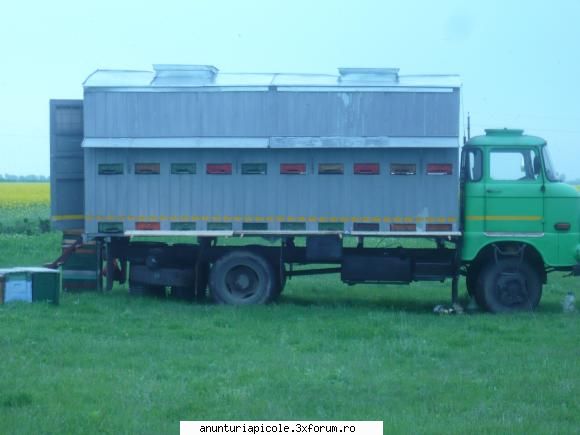 autospeciala apicola - am un Ifa W 50 L de vanzare - CUMPARARI ECHIPAMENTE APICOLE