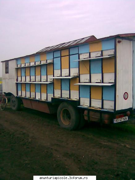 camion - 5000Euro ,rastelul e de 11 R corp + 11 R 3/4 - VANZARI - CUMPARARI AUTO