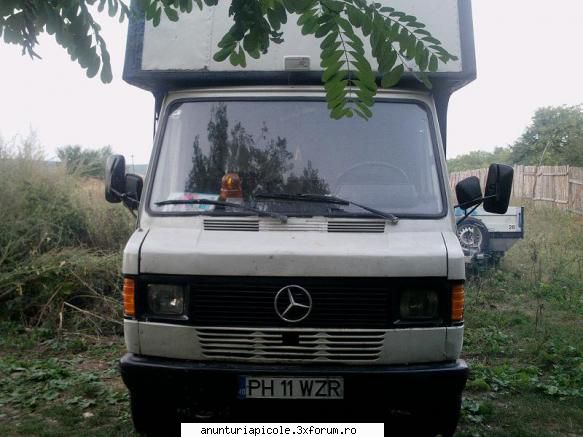 camioneta mercedes 309 D 3.5 tone - dinicu geo - VANZARI - CUMPARARI AUTO