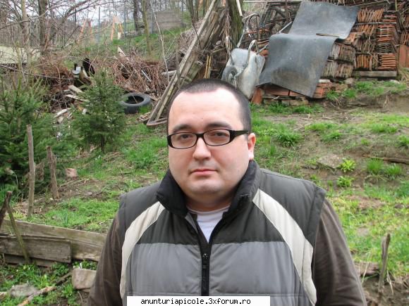 caut apicultor in Oradea - Caut apicultor Oradea pentru ai oferi gradina - PROPUNERI DE COLABORARE