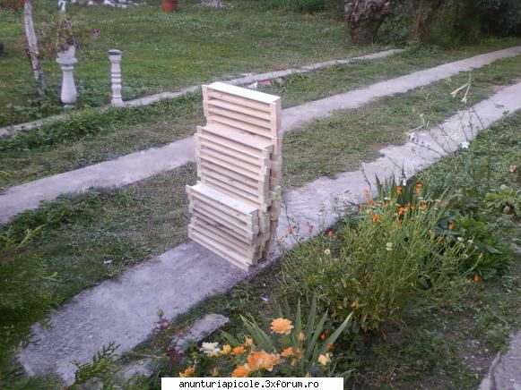 confectionez stupi nu pot oferi factura - mutu29 - VANZARI ECHIPAMENTE APICOLE