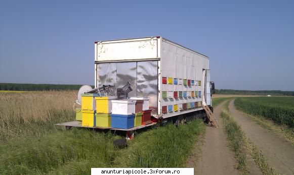 cumpar camion - am eu un man,daca te intereseaza suna-ma sa - VANZARI - CUMPARARI AUTO