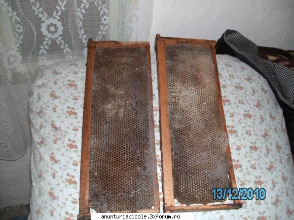 cumpar rame 1/2 cladite - am rame 1/2 cam asa arata - CUMPARARI ECHIPAMENTE APICOLE
