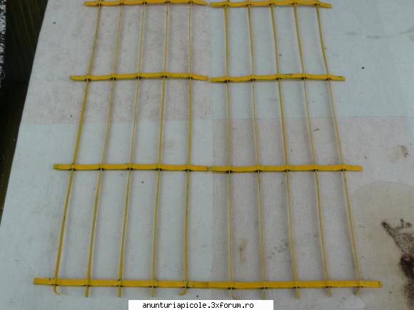 dispozitiv de colectat propolis - colector propolis poze - DIVERSE