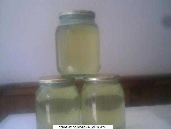 miere de salcim 2011 - Vand 800 kg miere de salcam,productie 2011, 100% - VANZARI PRODUSE APICOLE