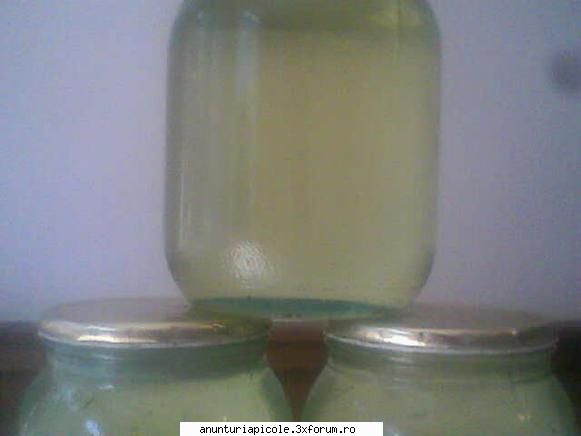 miere de salcim 2011 - alincapraroiu - VANZARI PRODUSE APICOLE