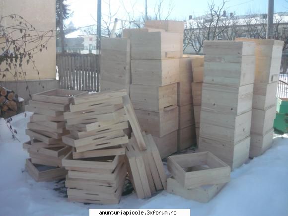 ofera - astazi am primit stupii - PREZENTARI PRODUSE - RUBRICA PENTRU FIRME