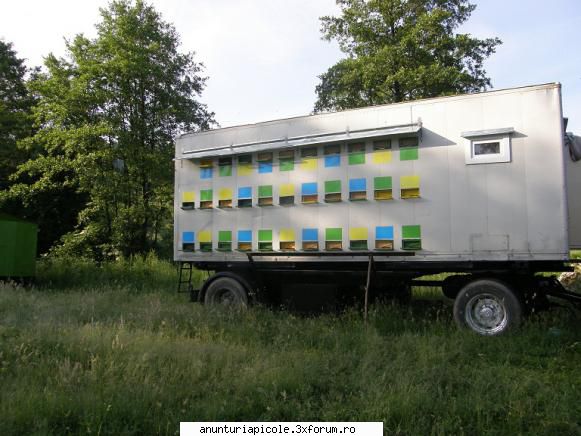 pavilion - Vand pavilion apicol nou facut in primavara - VANZARI - CUMPARARI AUTO