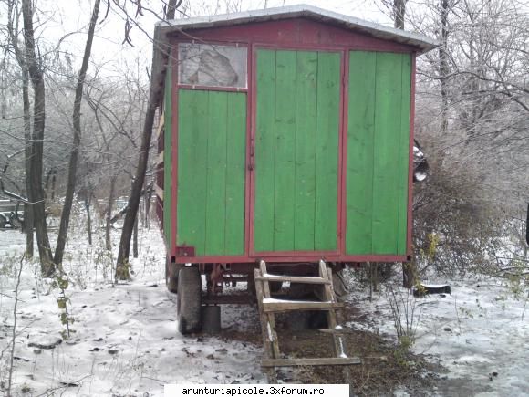 pavilion apicol - georgian - VANZARI ECHIPAMENTE APICOLE