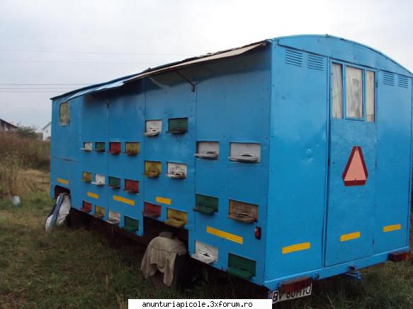 pavilion apicol - Vand pavilion apicol, cu 48 lazi - VANZARI - CUMPARARI AUTO