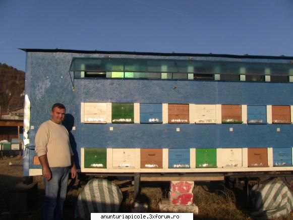 pavilion pentru 38 stupi - sorin_mob - VANZARI - CUMPARARI AUTO