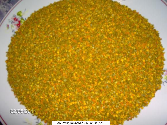 polen de calitate - danyy - VANZARI PRODUSE APICOLE