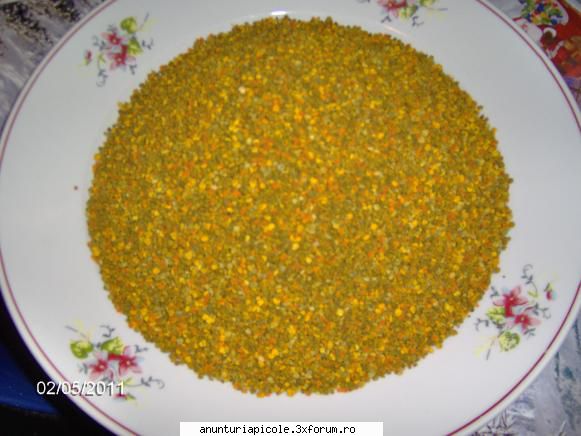 polen de calitate - danyy - VANZARI PRODUSE APICOLE
