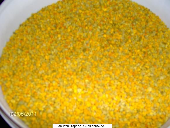 polen de calitate - danyy - VANZARI PRODUSE APICOLE