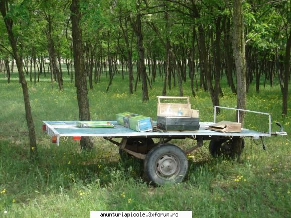 remorca 18 stupi - vand remorca 18 stupi/o singura axa/inmatriculata - VANZARI ECHIPAMENTE APICOLE