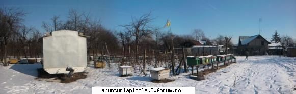 remorci apicole + camion + cauciucuri - svm - VANZARI ECHIPAMENTE APICOLE