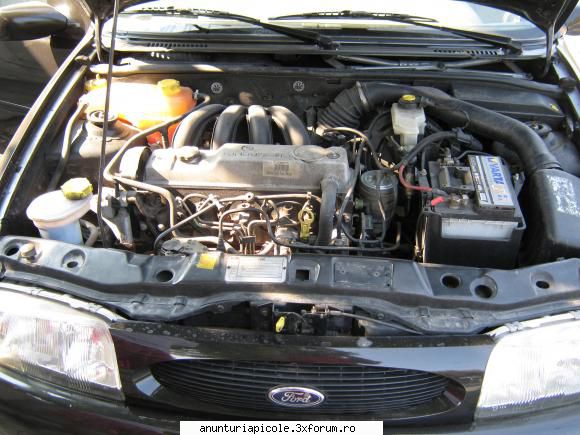 schimb familii de albine cu auto - nica vlad - SCHIMBURI DIVERSE