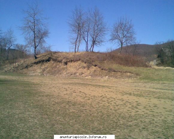 schimb teren 3800m intravilan cu albine - schimb teren, 3800 m2 intravilan, deschidere - SCHIMBURI DIVERSE