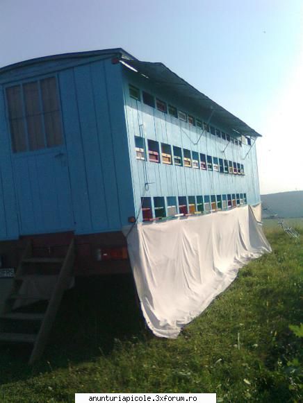 scimb pavilion - caut un camion sau camion apicol - SCHIMBURI DIVERSE