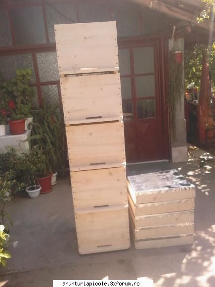 stupi la 100 roni bucata - stupi lui cristi de la beharca mai trebuie - VANZARI ECHIPAMENTE APICOLE