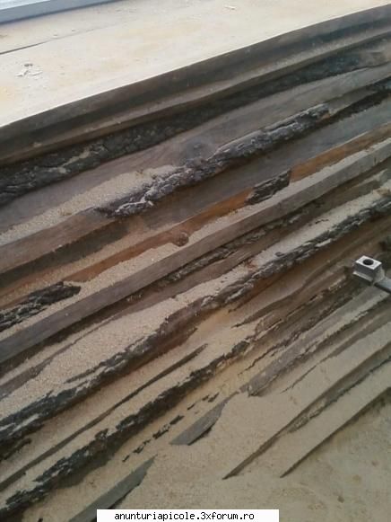 stupi la 100 roni bucata - material suta la suta uscat Grosimea materialului - VANZARI ECHIPAMENTE APICOLE