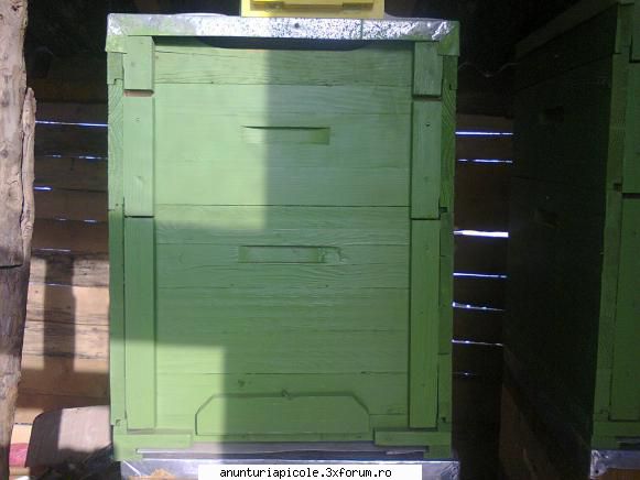 stupi pe capre - Schimb 11 stupi de 12 rame cu magazie de 1/2 cu - SCHIMBURI DIVERSE