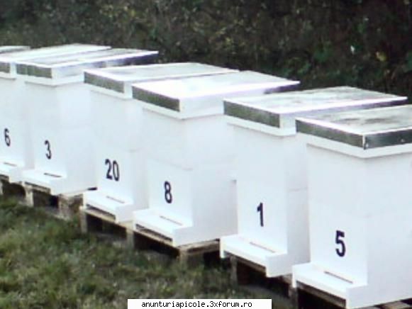 stupi verticali cu fund varoua - Capacul este mai inalt cu 20mm decat - VANZARI ECHIPAMENTE APICOLE
