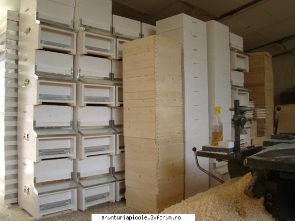 stupi verticali cu fund varoua - Am lipsit cam mult de pe forum. Am avut mult - VANZARI ECHIPAMENTE APICOLE