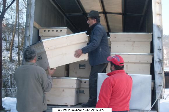 stupi verticali cu fund varoua - Este greu sa-i cari , daramite sa-i - VANZARI ECHIPAMENTE APICOLE