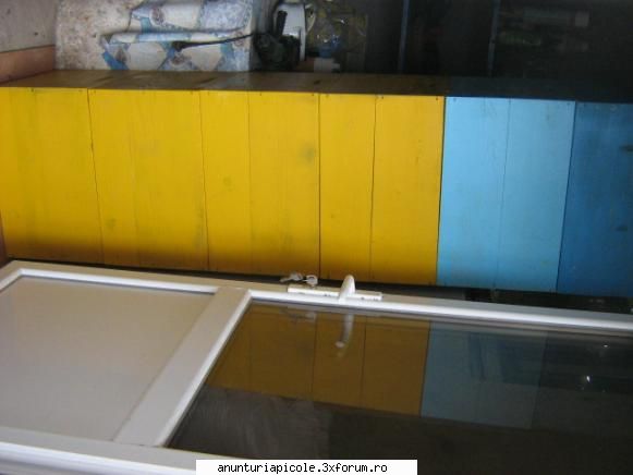 oferta     vand 12 stupi noi si 130 rame cladite 1/1 +2 famili pe 8 rame 2000 ron tel 0741077355