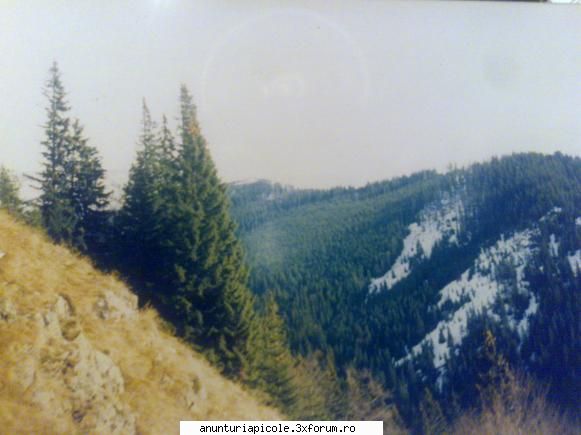 buna cumva si albina la nu ca pierdut alalt s amai slabit un pic arcul(asta daca na i antrebat