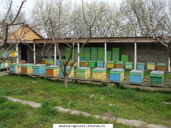 vand autopavilion - cazacuremus - VANZARI ECHIPAMENTE APICOLE