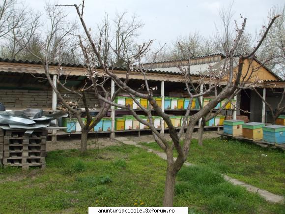 vand autopavilion - cazacuremus - VANZARI ECHIPAMENTE APICOLE