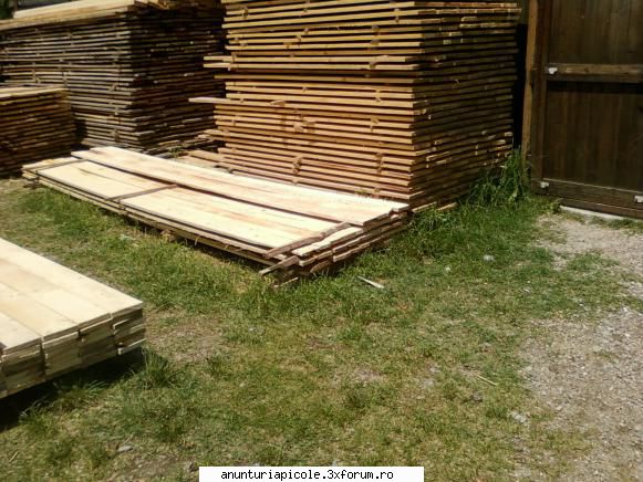 vand banzic - am gresit motorul este de 2,2 kw cu 2700 rotati - VANZARI ECHIPAMENTE APICOLE