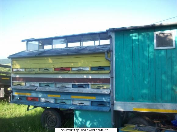 vand camion - cristi8998 - ANUNTURI CARE NU RESPECTA REGULAMENTUL