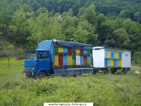 vand camion apicol si paviion - vand mercedes 808 stare buna de functionare cu - VANZARI ECHIPAMENTE APICOLE